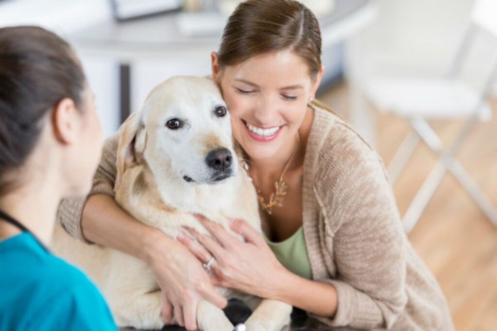 veterinario nota sintomi tumore