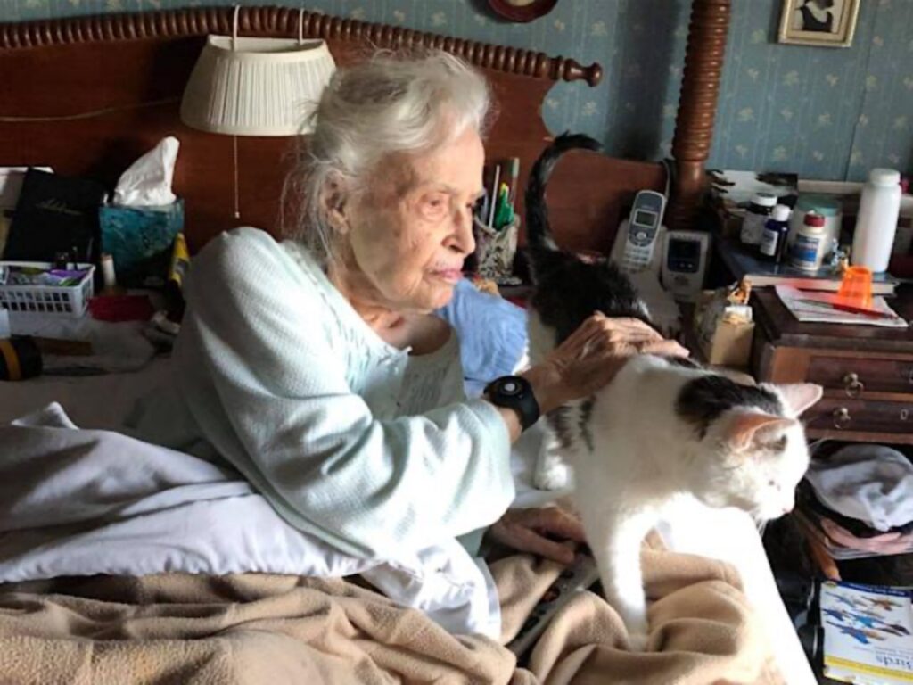 signora di 102 anni adotta un gatto