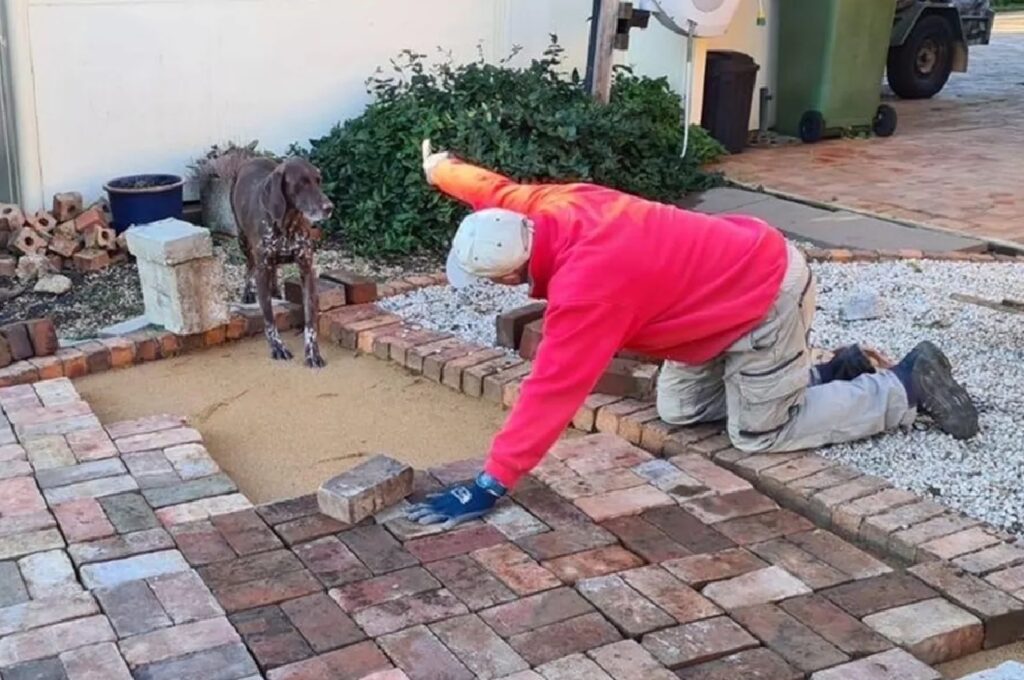 muratore se la prende con cane