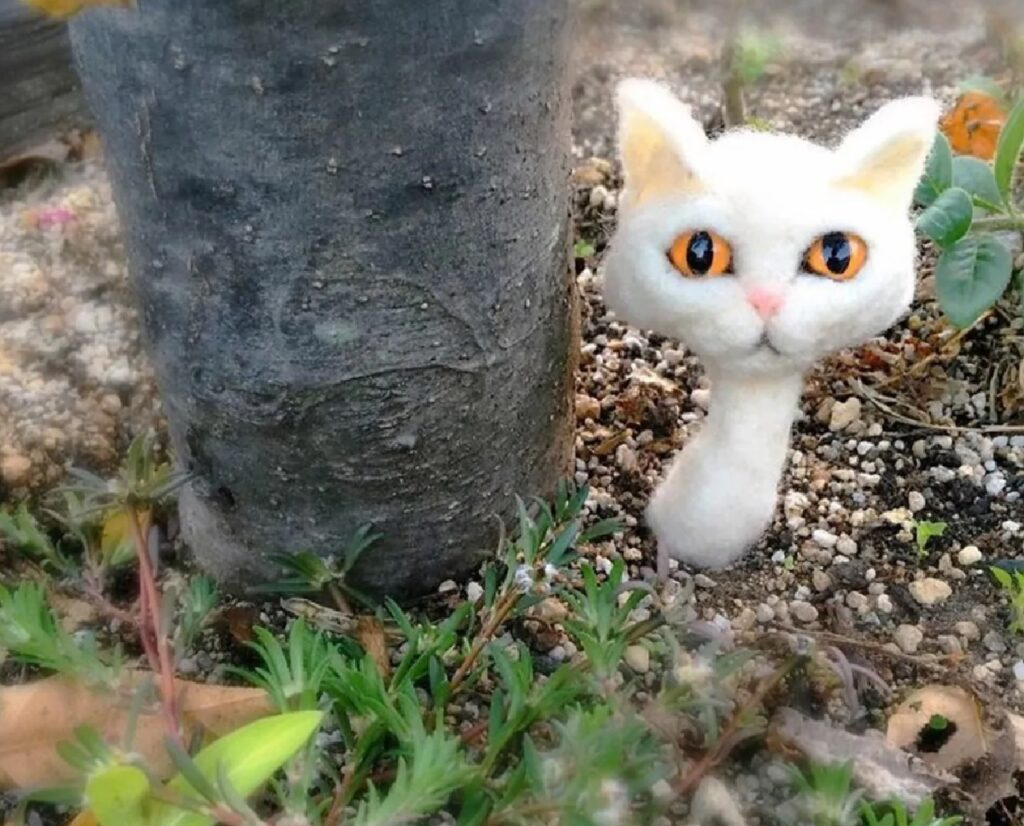 gatto fungo bianco