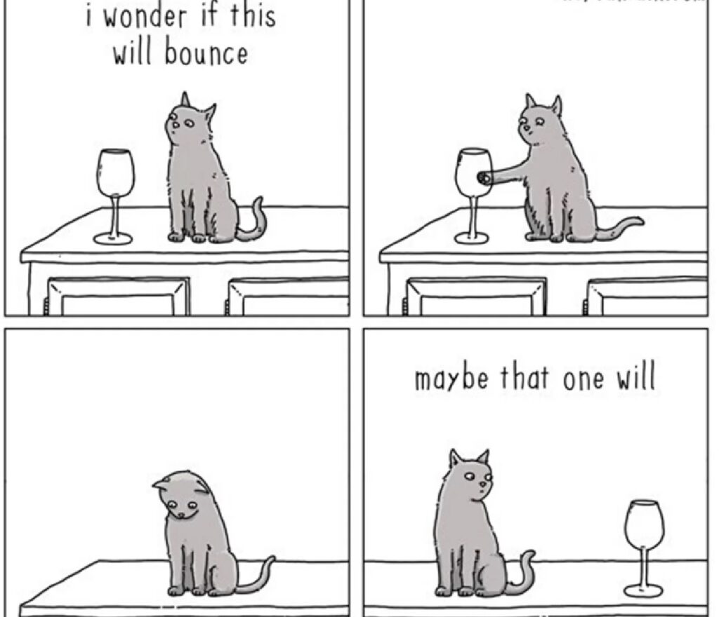 gatto butta giù bicchiere