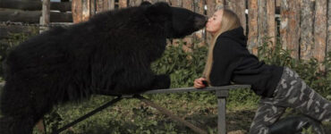 Ragazza bacia sulla bocca orso