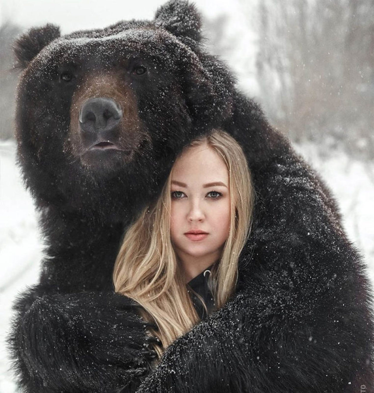 Orso e ragazza avvinghiati