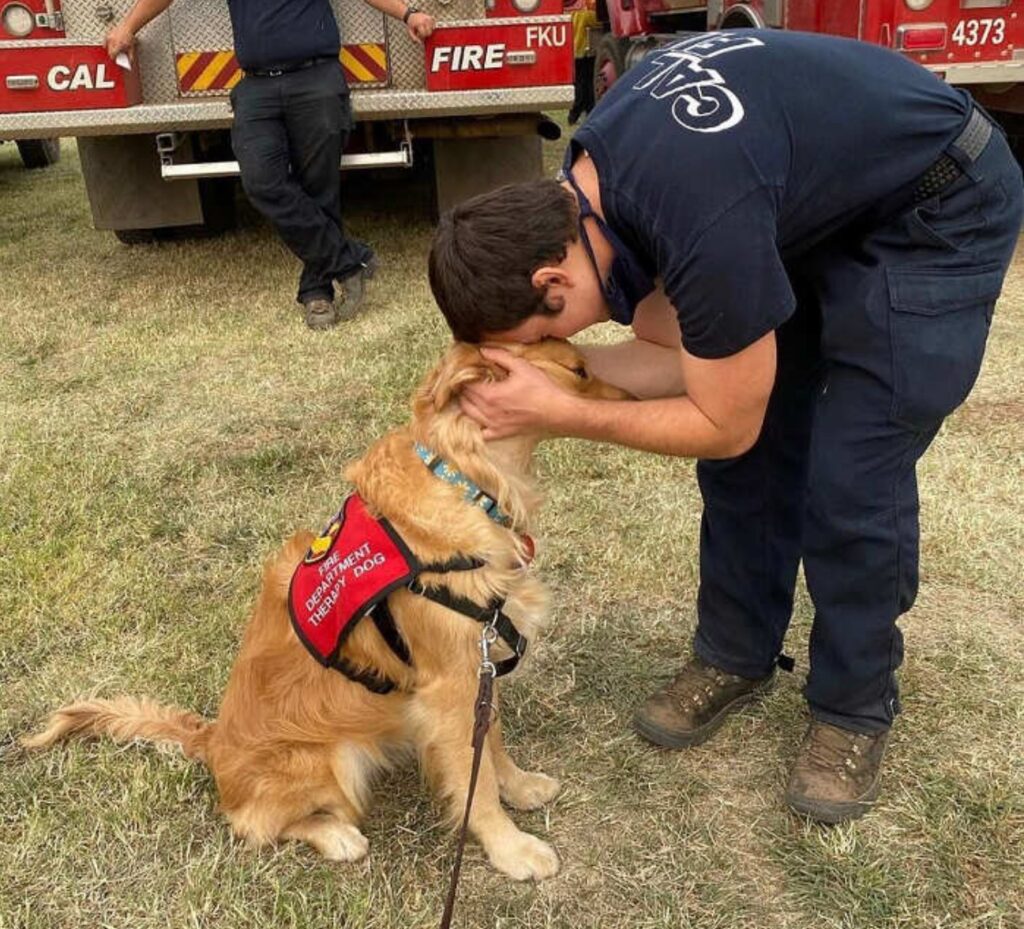 cane con i vigili del fuoco