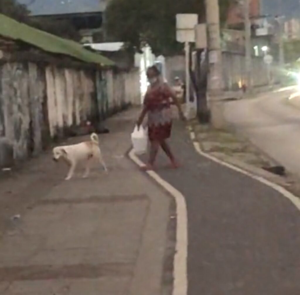 signora attraversa la strada con un cane