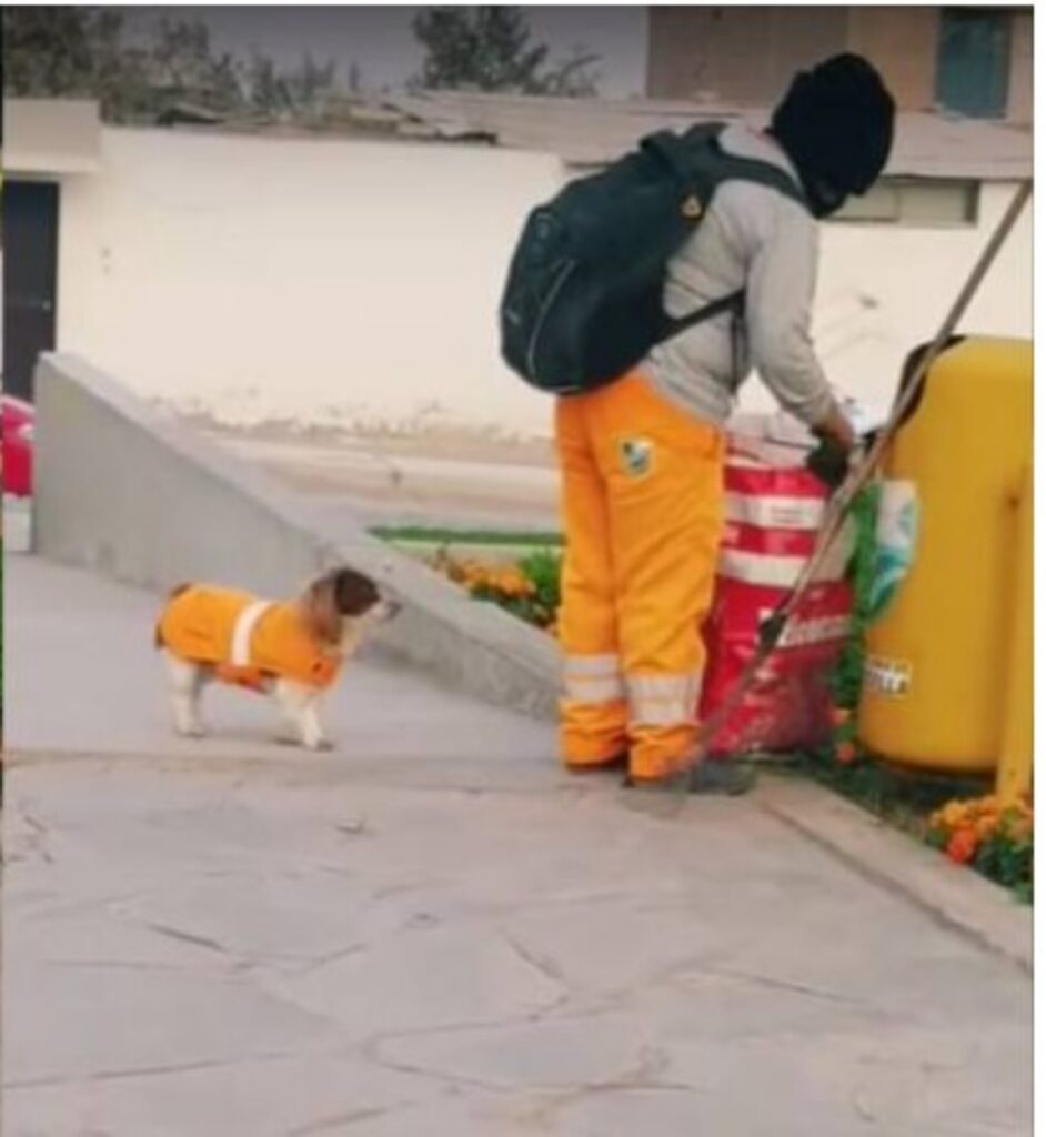 Cane accompagna il padrone a lavoro