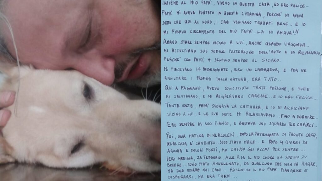 cane avvelenato: il padrone scrive una lettera