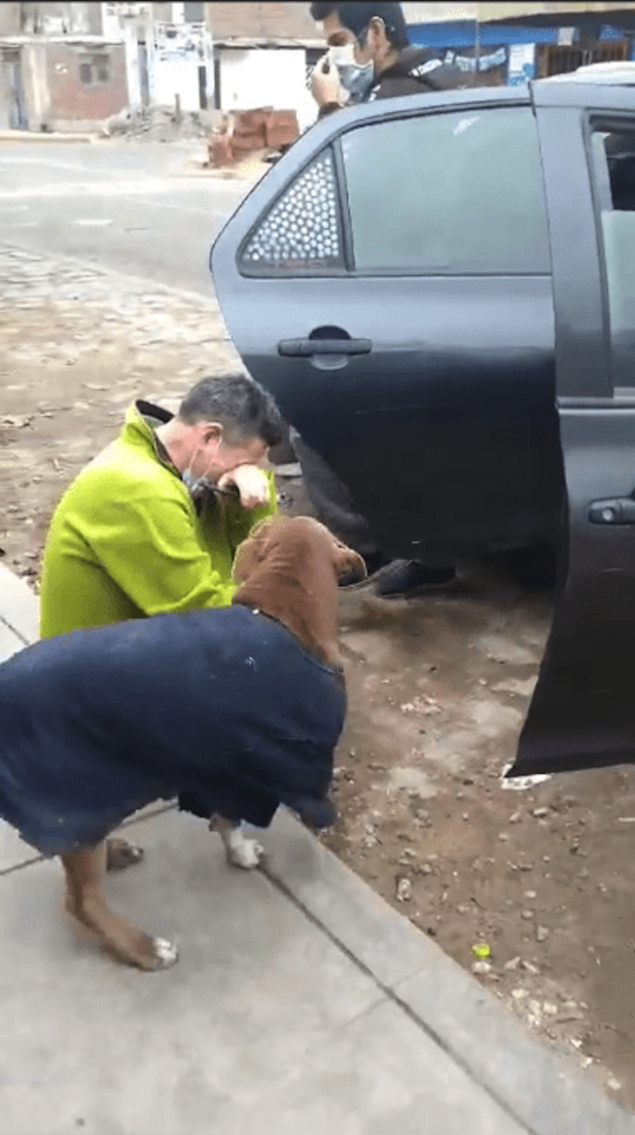 cucciolo 5 mesi strada