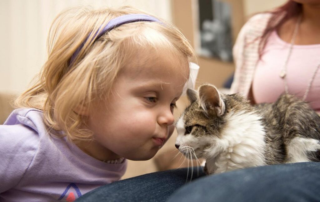 gattina e bambina