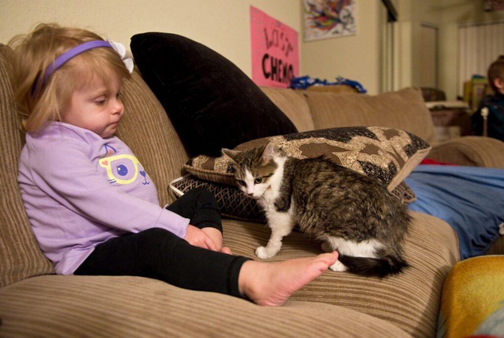 gattina e bambina disabili