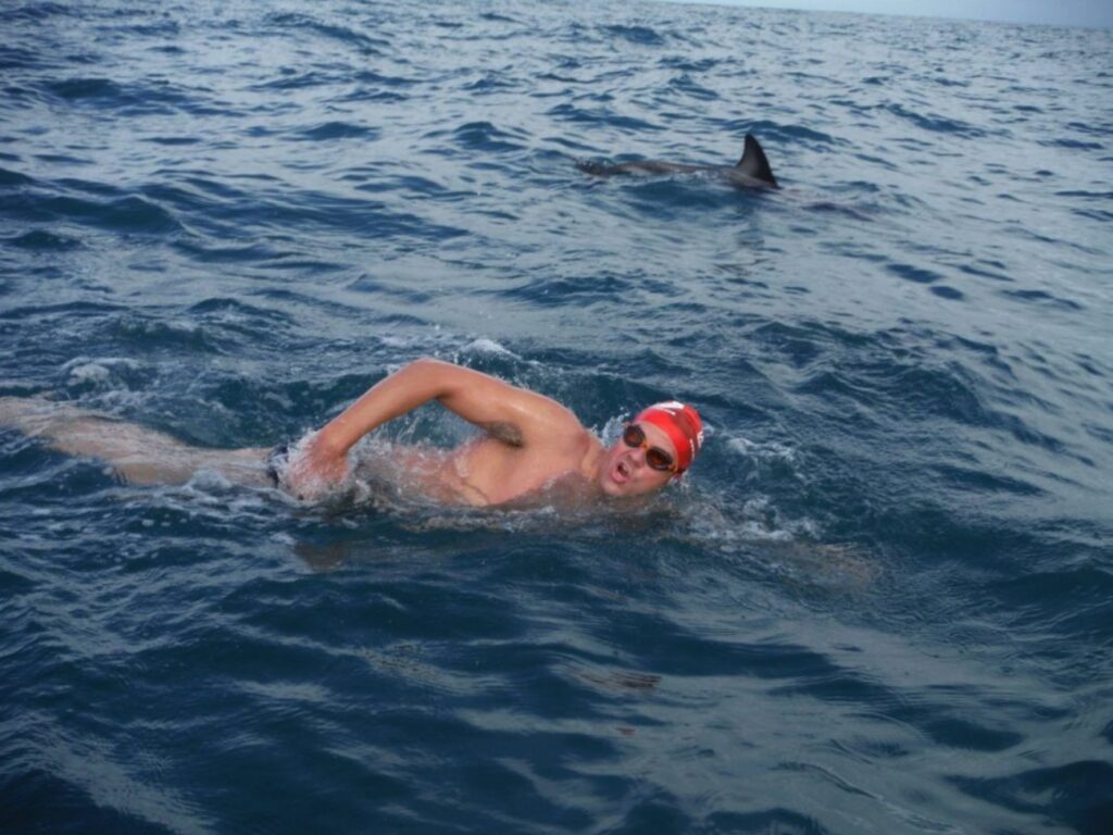 delfini che proteggono l'atleta