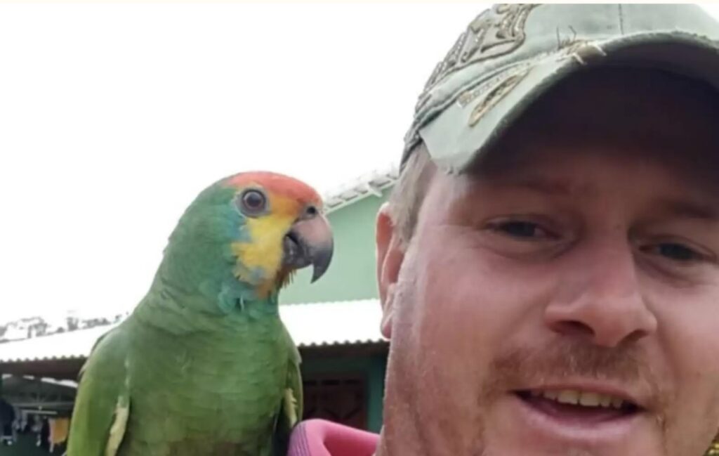 Ragazzo trova pappagallo