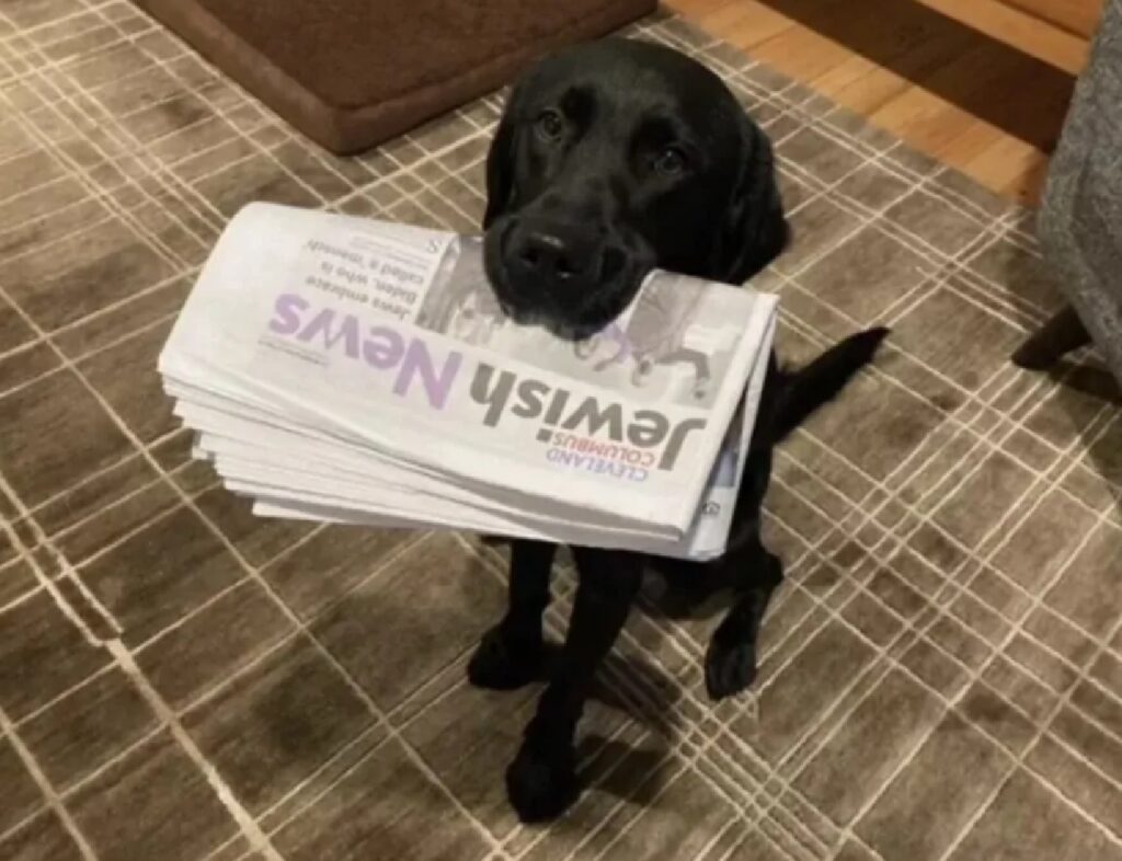 cane giornale portato in casa