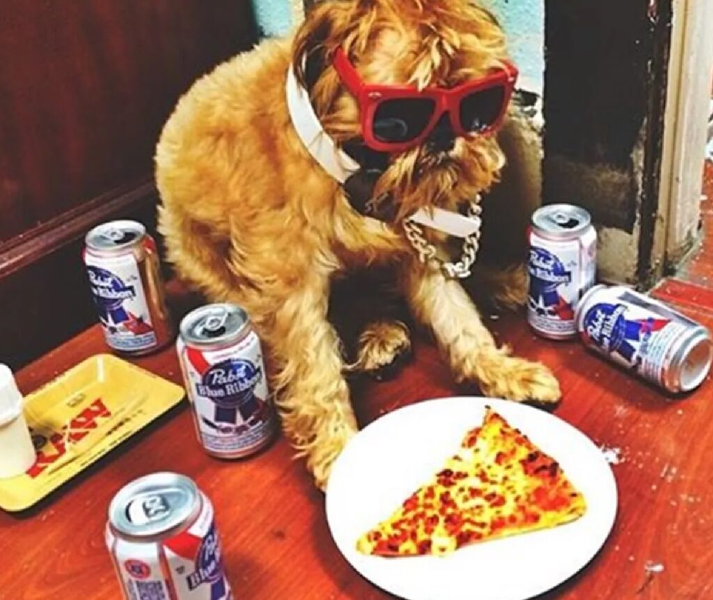 cane pizza e bevande