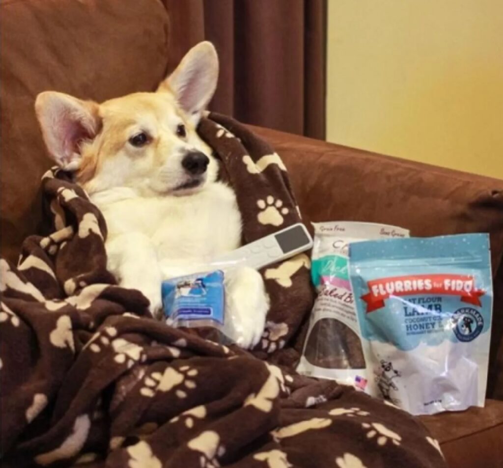 cane tra coperte e snack