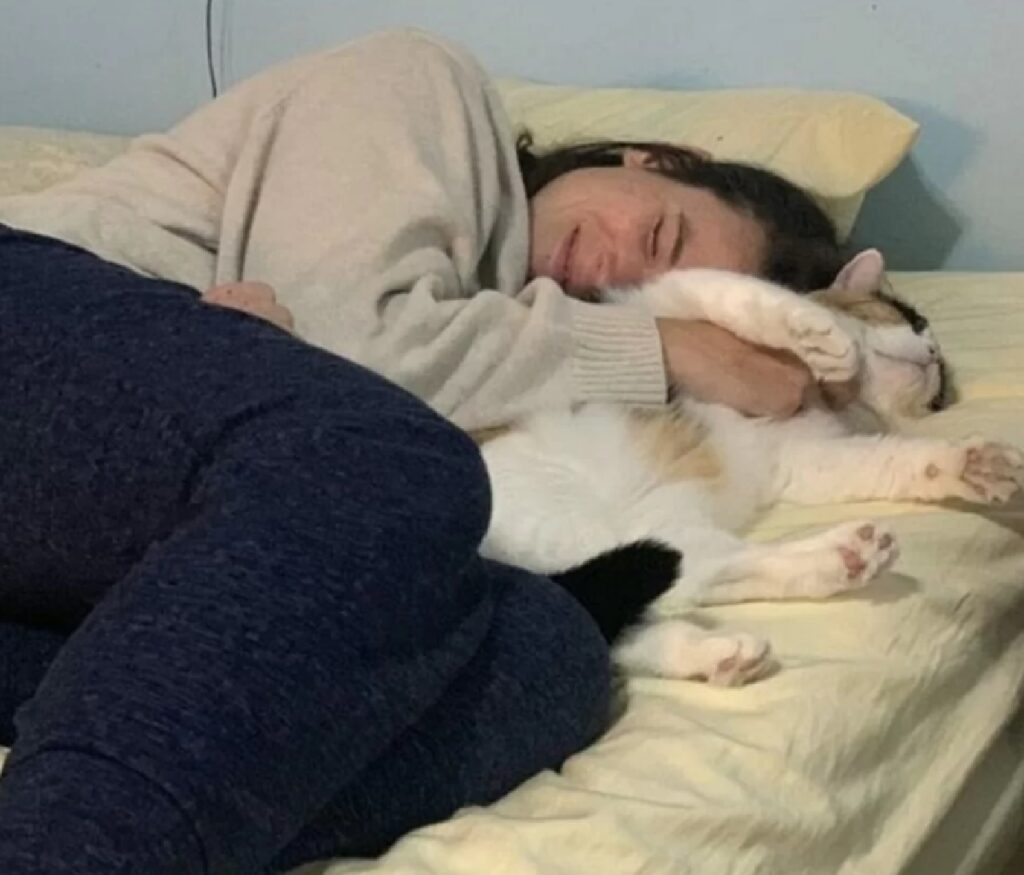gatto dorme con abbraccio