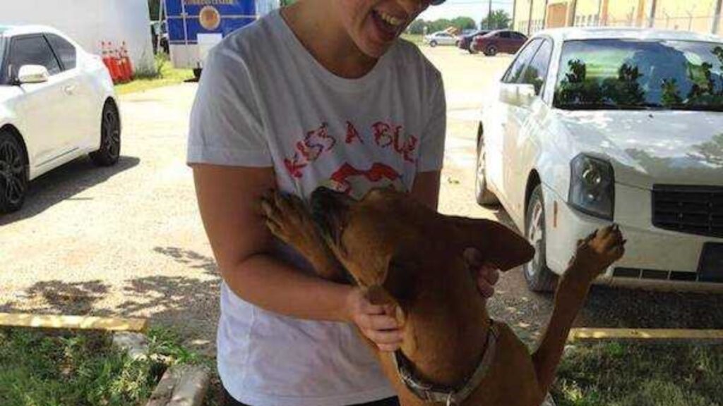 Cagnolino in lacrime perché nessuno vuole adottarlo