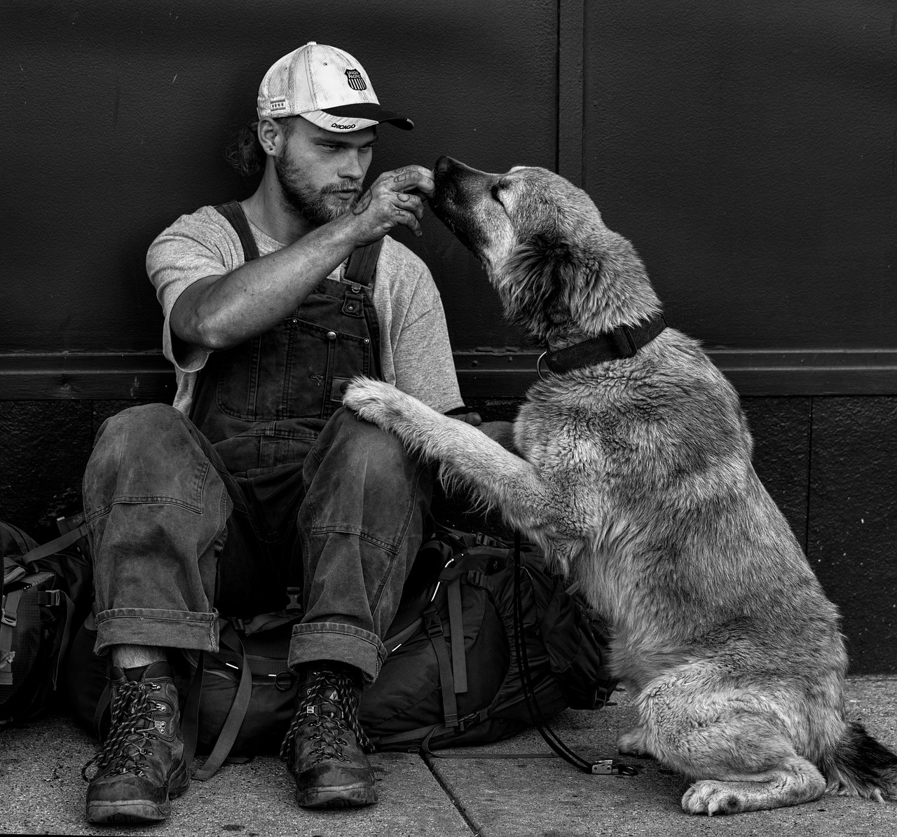 Ragazza dà da mangiare a cane