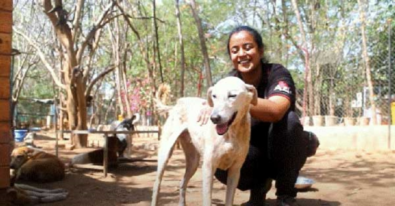 Cane con ferita al collo salvato dai soccorritori