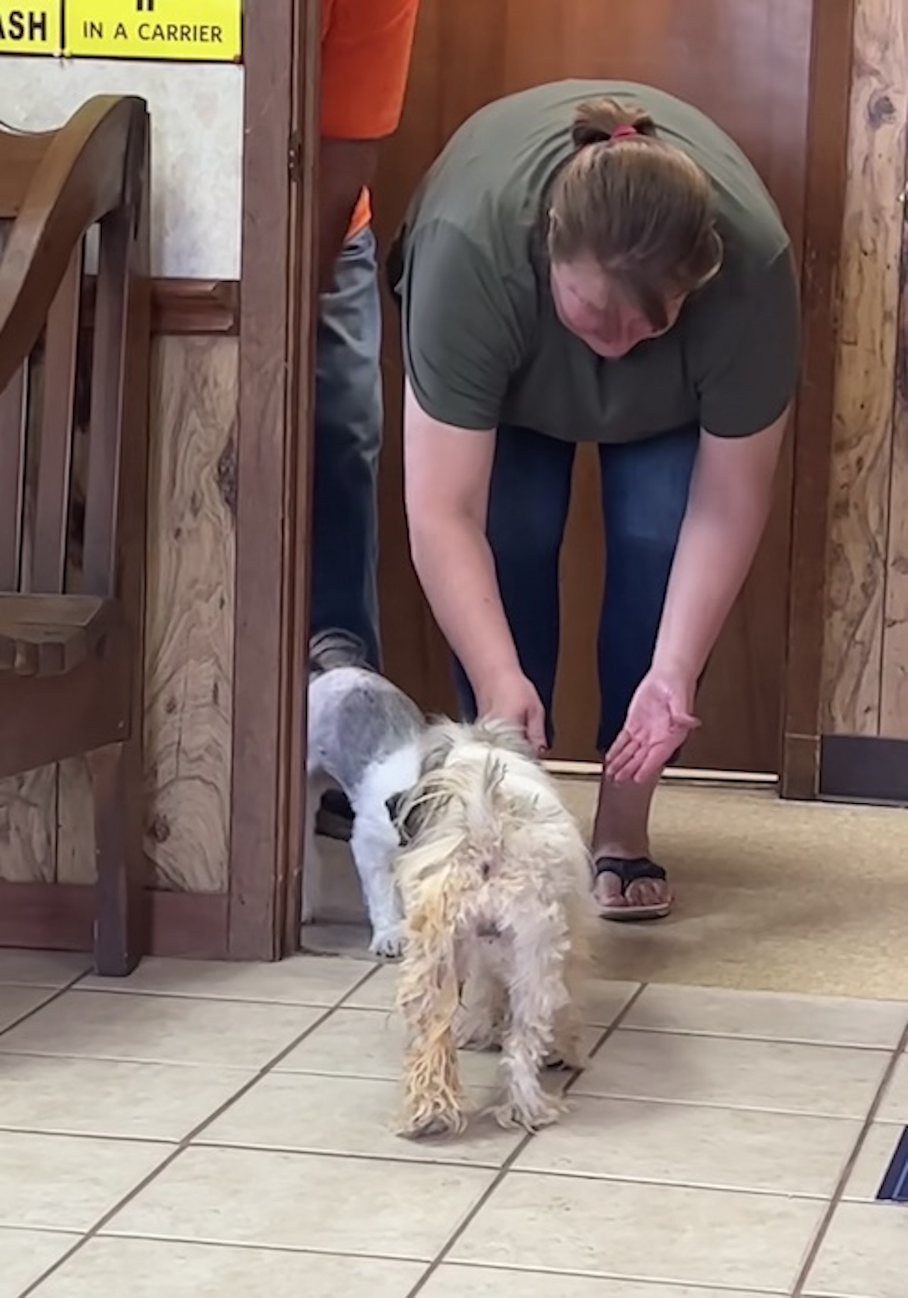 Cane va incontro alla padrona