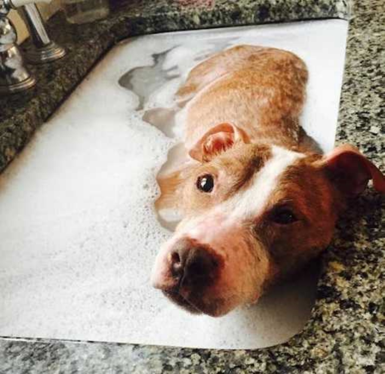 Rudy si gode il suo bagno rigenerante nella sua nuova casa
