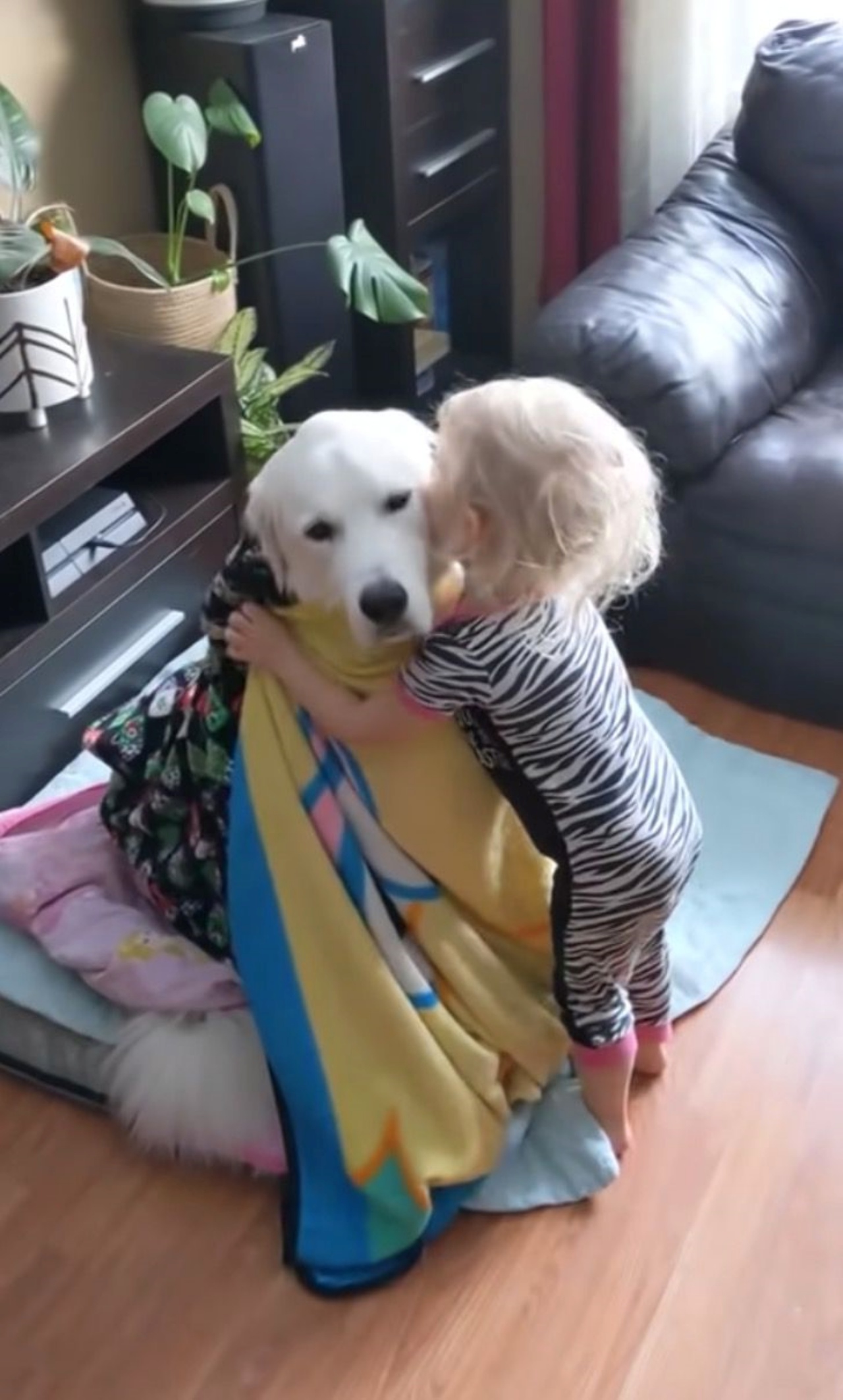 Un bambino copre il cane con le coperte per proteggerlo dal freddo