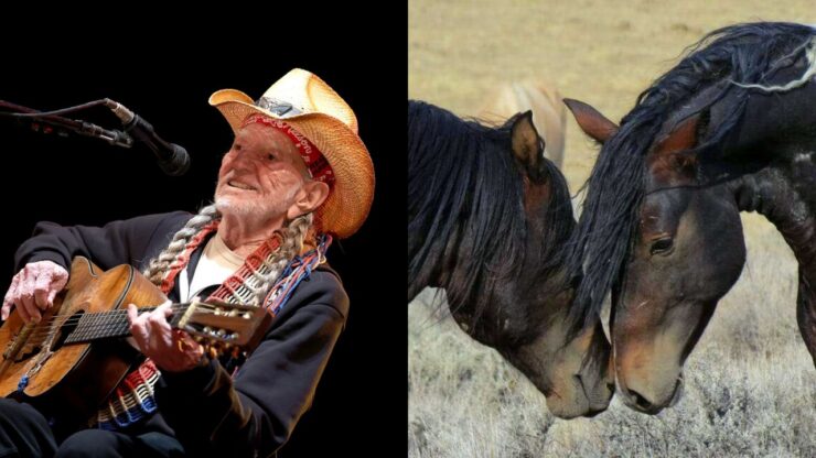 Willie Nelson e cavalli