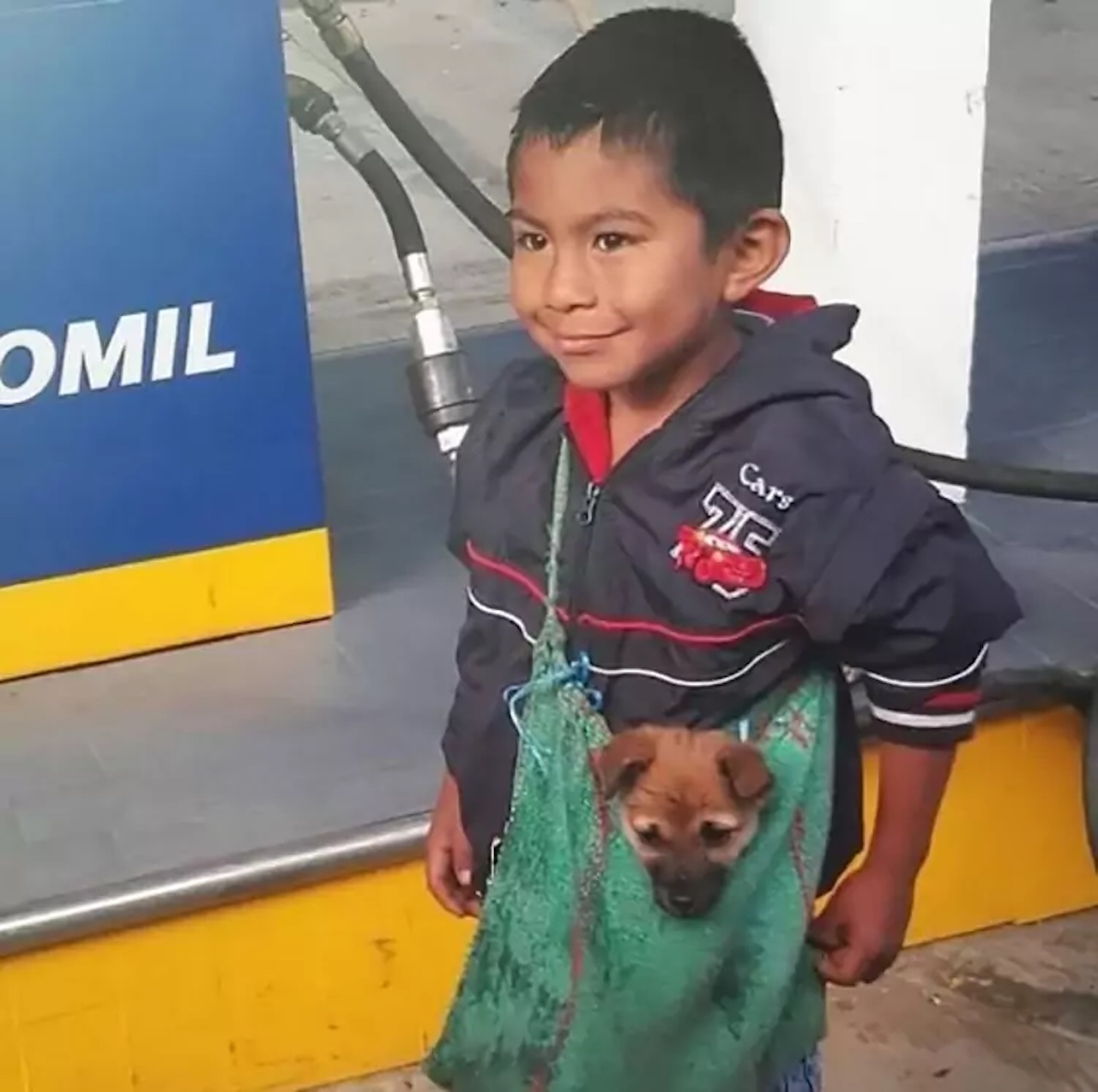 Bimbo felice con il suo cagnolino