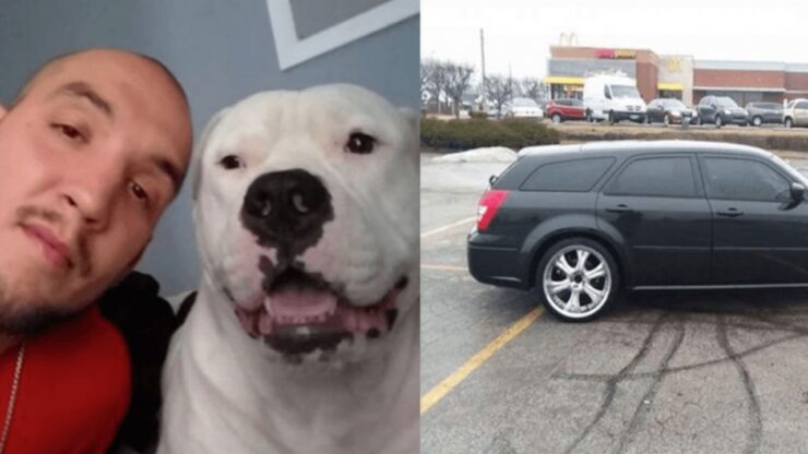 Uomo vende la sua auto per salvare il proprio cane