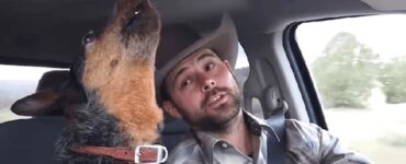 cane canta in macchina