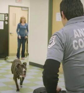 il cane rincontra il detenuto che gli ha salvato la vita