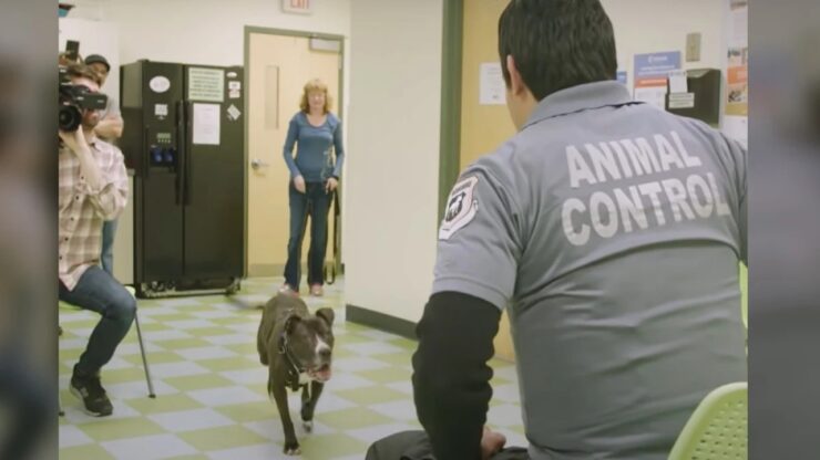 il cane rincontra il detenuto che gli ha salvato la vita