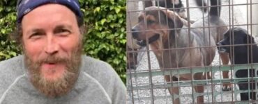 Cantante aiuta i cani