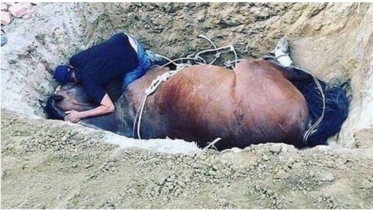 Uomo piange la morte del proprio cavallo