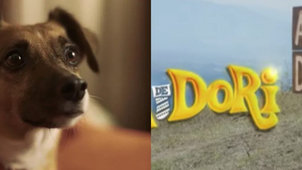 dori il cane che ha scritto una lettera