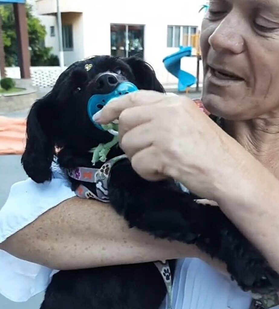 escurinho, il cane con il ciuccio