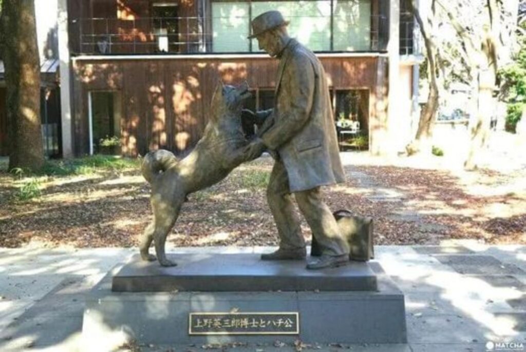 hachiko il film