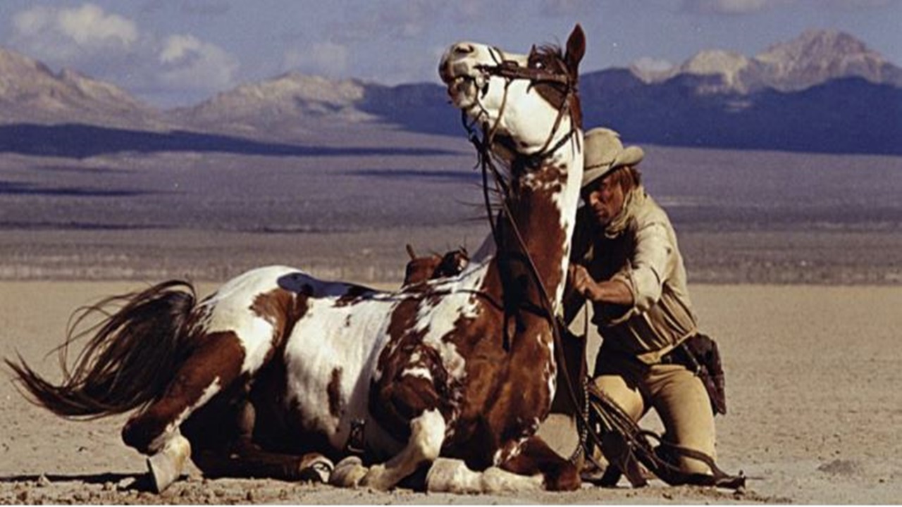 Hidalgo il cavallo con cowboy