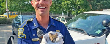 poliziotto salva una gattina
