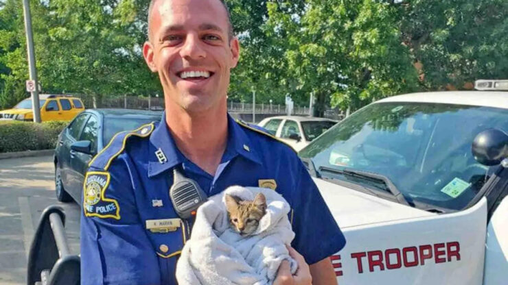 poliziotto salva una gattina