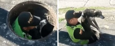 poliziotto eroe salva cane