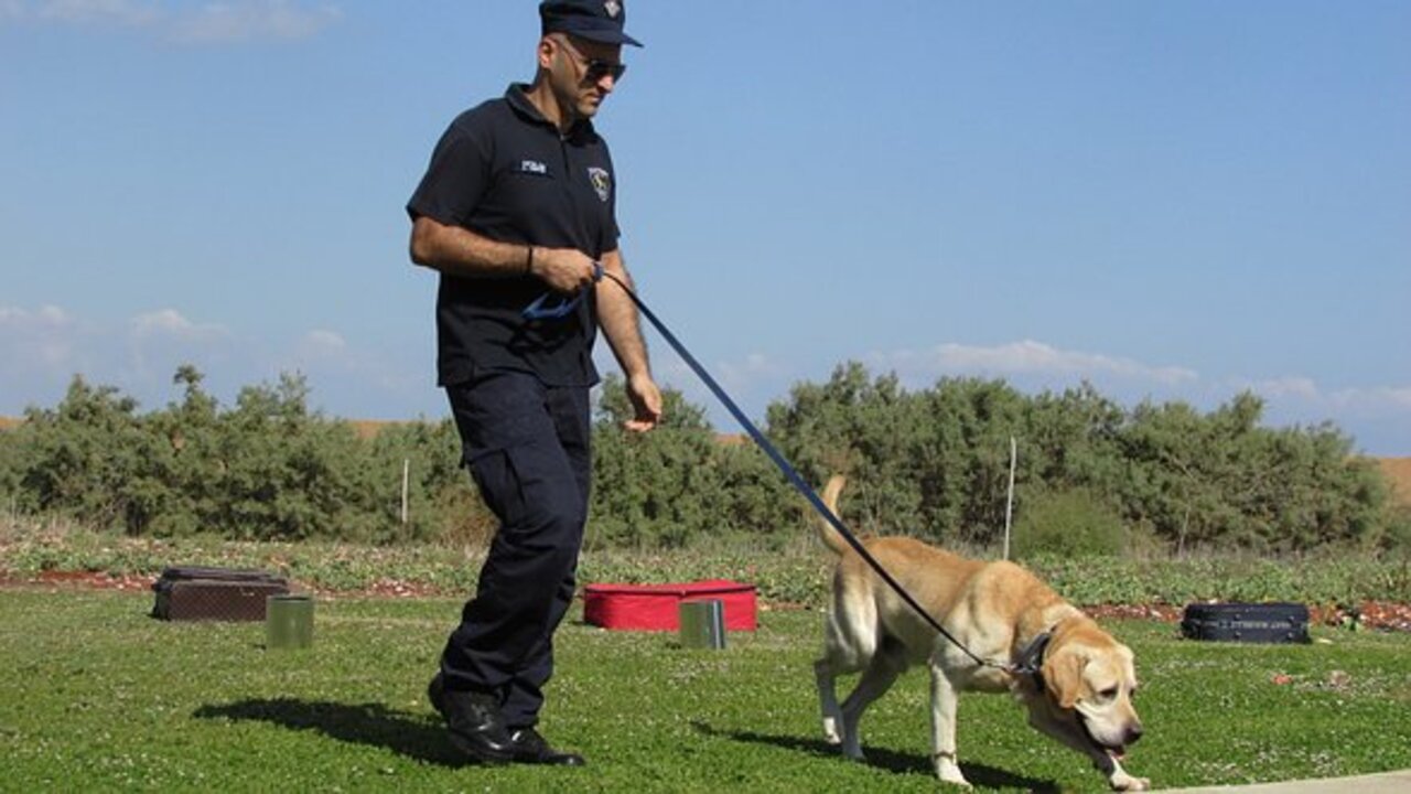 cane poliziotto