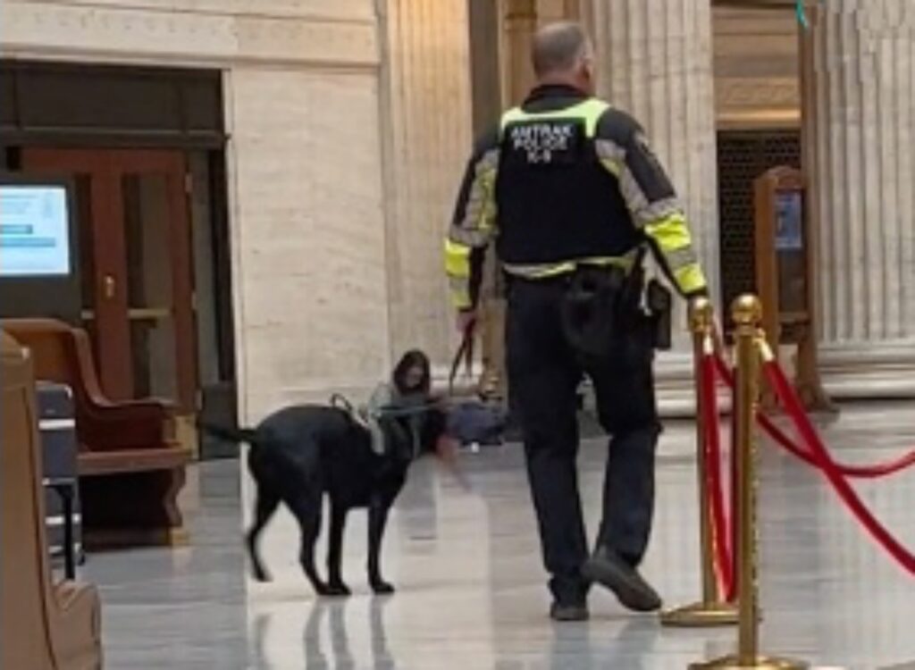 uomo cammina con cane