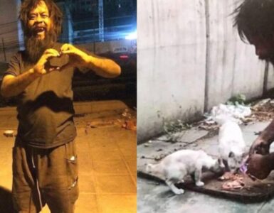 senzatetto sfama i suoi gatti