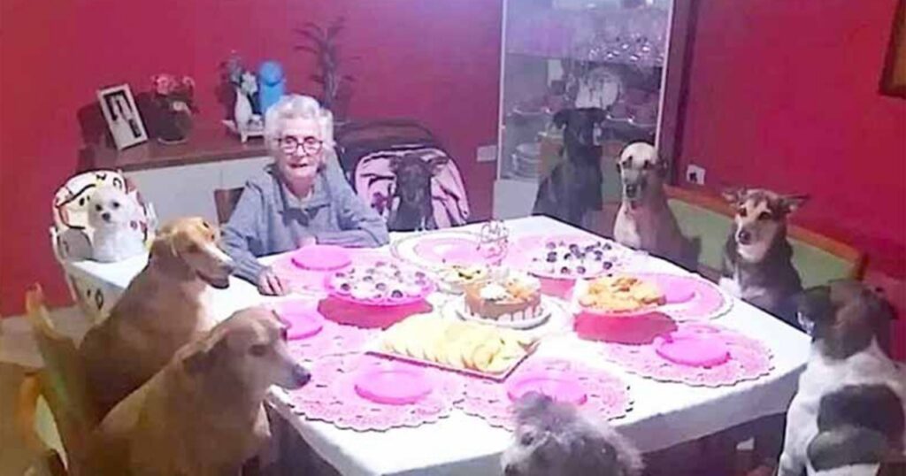 signora di 89 anni festeggia con 10 cani