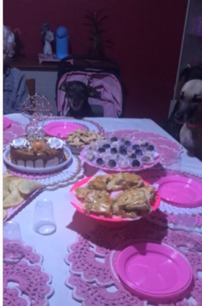 signora di 89 anni festeggia con 10 cani