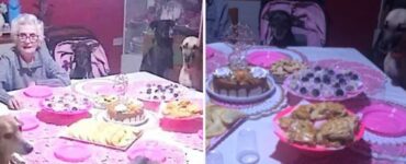 signora di 89 anni festeggia con 10 cani