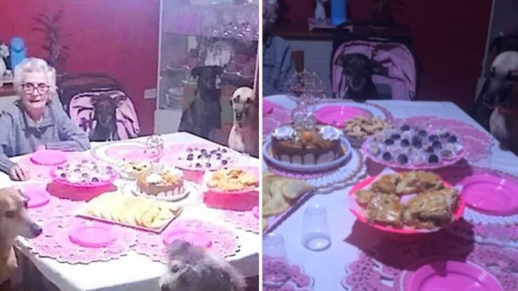 signora di 89 anni festeggia con 10 cani