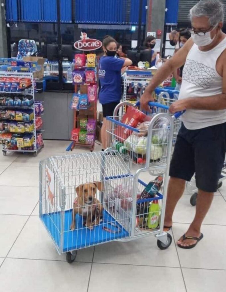 cane in un carrello della spesa