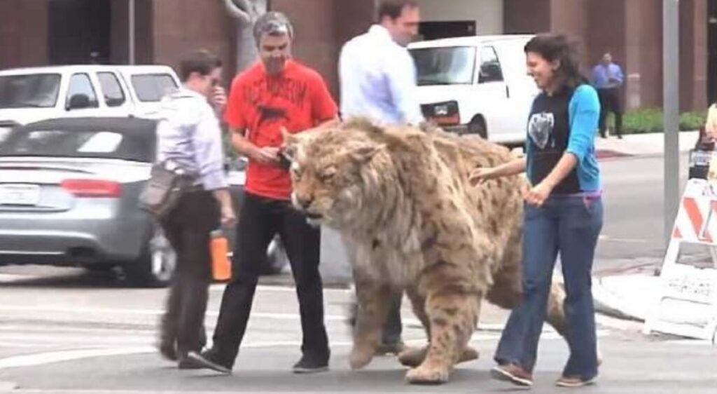 Tigre si avvicina in modo pericoloso ad un bambino